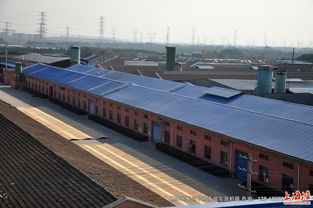 走進林牌地板 探訪工廠風貌與全實景產品展示，領略特殊鋼工藝的卓越品質